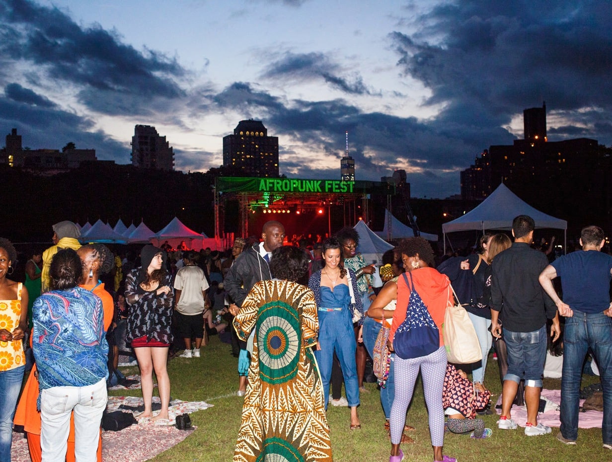 afropunk fader 2014