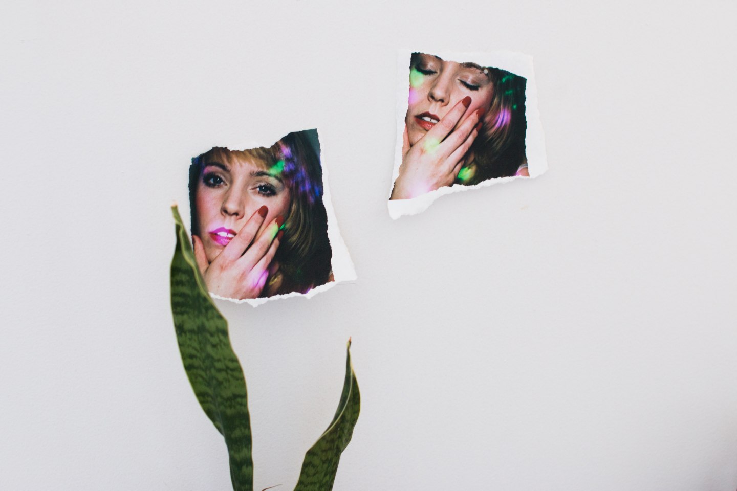 Maya Fuhr’s Camera Is Trained On The Weirder Side Of Human Nature