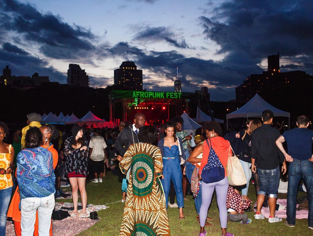 afropunk fader 2014