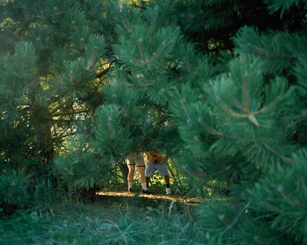 gay men cruising for eex in the woods