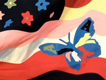 The Avalanches – Wildflower – 2 x Vinyl (Album, Deluxe