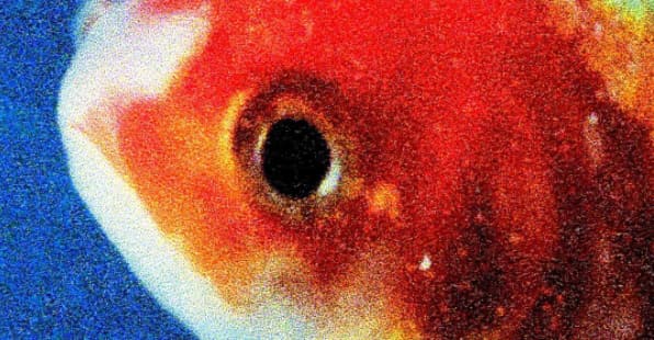 Listen to Vince Staples's Big Fish Theory Album | The FADER