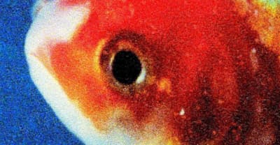 Listen to Vince Staples’s Big Fish Theory Album