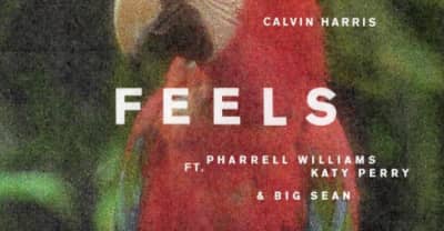 Pharrell, Katy Perry, And Big Sean Team Up For Calvin Harris’s “Feels”