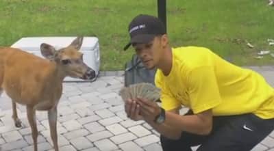 Watch A Short Documentary On Kelvin Peña, Money The Deer, And The Deer Squad