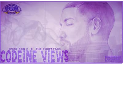 Drake’s VIEWS Gets Chopped Not Slopped By OG Ron C