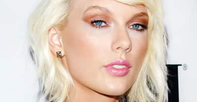 The ACLU defends blogger who suggested Taylor Swift is linked to the alt-right