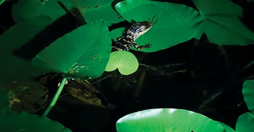 7 new dance albums we can’t wait to hear in the club