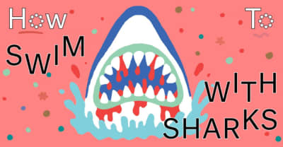 How To Swim With Sharks