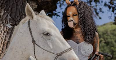 HorsegiirL unreined