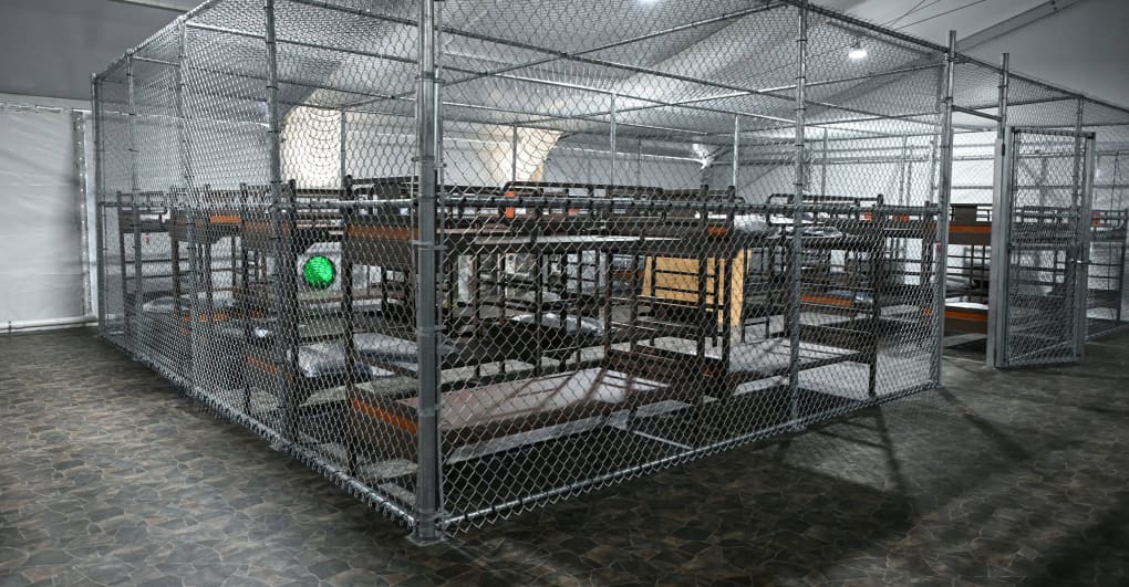 Imprisoned in Alligator Alcatraz, Cuban reggaeton artist claims inhumane conditions