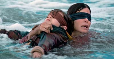 Netflix urges viewers not to take part in the Bird Box challenge
