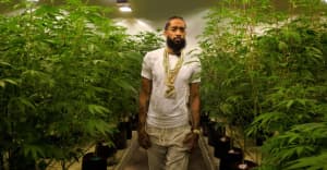 Watch Nipsey Hussle’s weed documentary The Marathon (Cultivation)