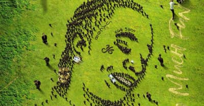 Young Thug drops new album So Much Fun