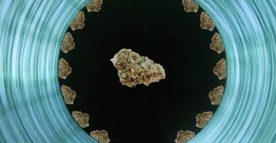 The FADER Weekend Reading List