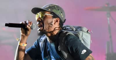 Del The Funky Homosapien fractured seven ribs and punctured a lung in Gorillaz stage fall