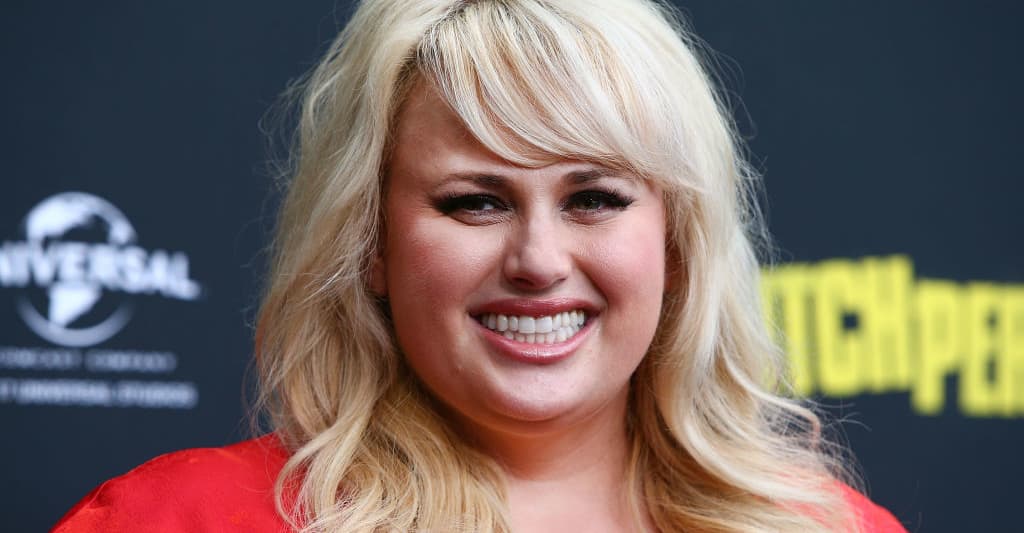 Rebel Wilson Is Making A K Pop Movie The Fader