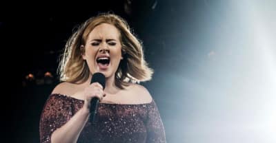 Adele Urged Fans To Donate Money To Grenfell Tower Residents During A London Show