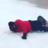 Watch Boosie Badazz Snowboard His Way Into 2017