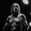 Iggy Pop teases new album EVERY LOSER with debut single, “Frenzy”