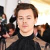 Harry Styles will not be playing Prince Eric in the new Little Mermaid