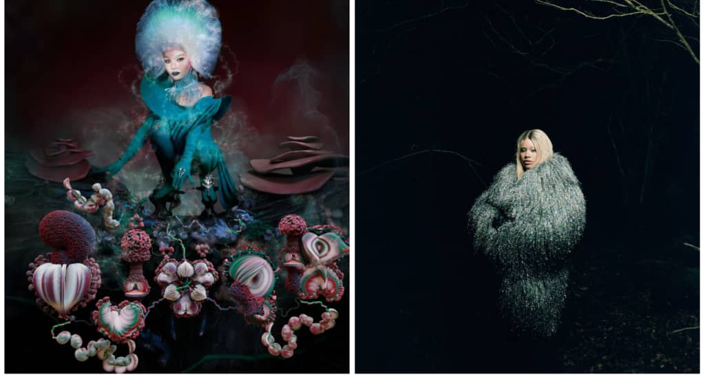 #Listen to Shygirl and Sega Bodega rework Björk’s “Ovule”
