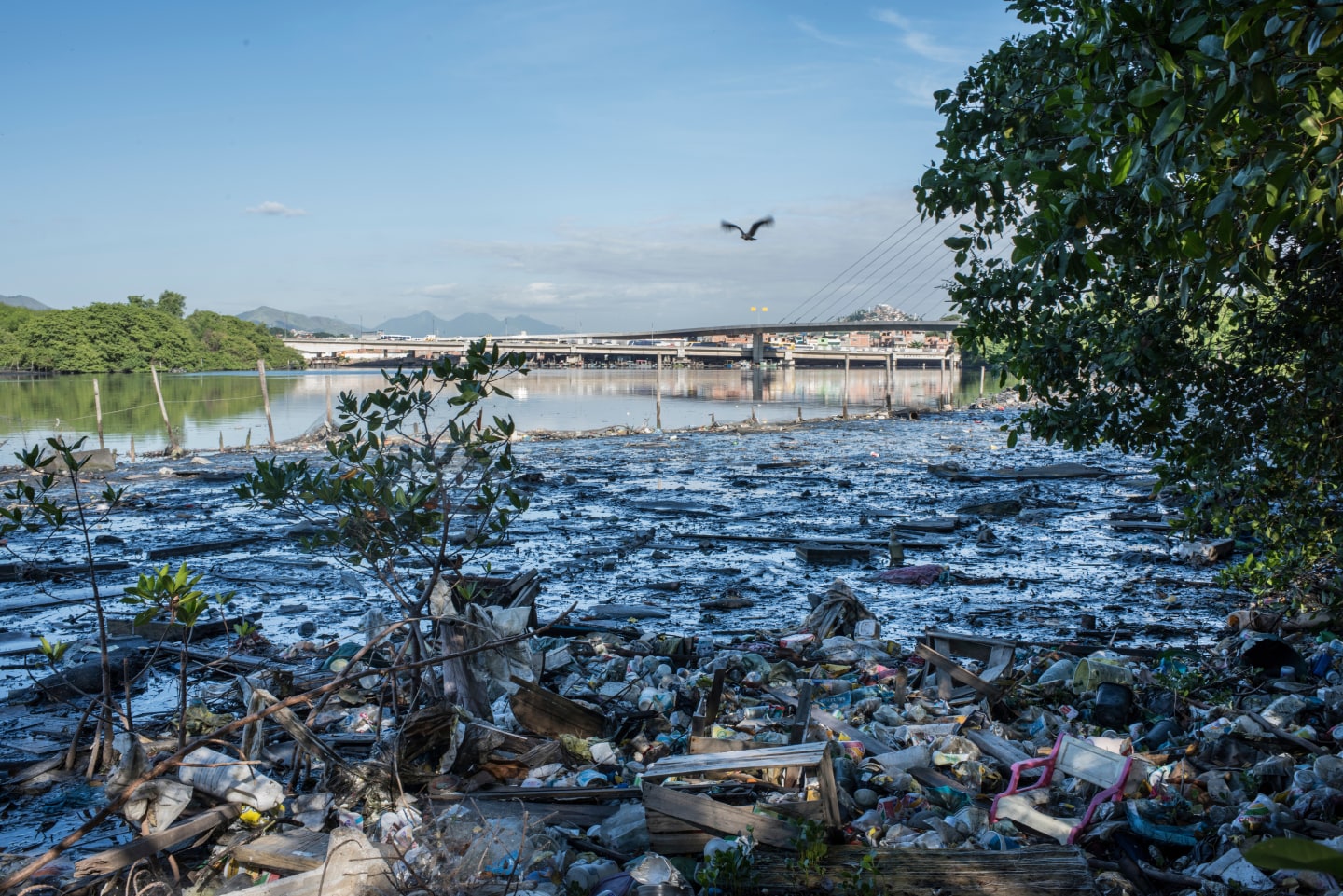 These Poignant Photographs Document Real Life In Rio De Janeiro