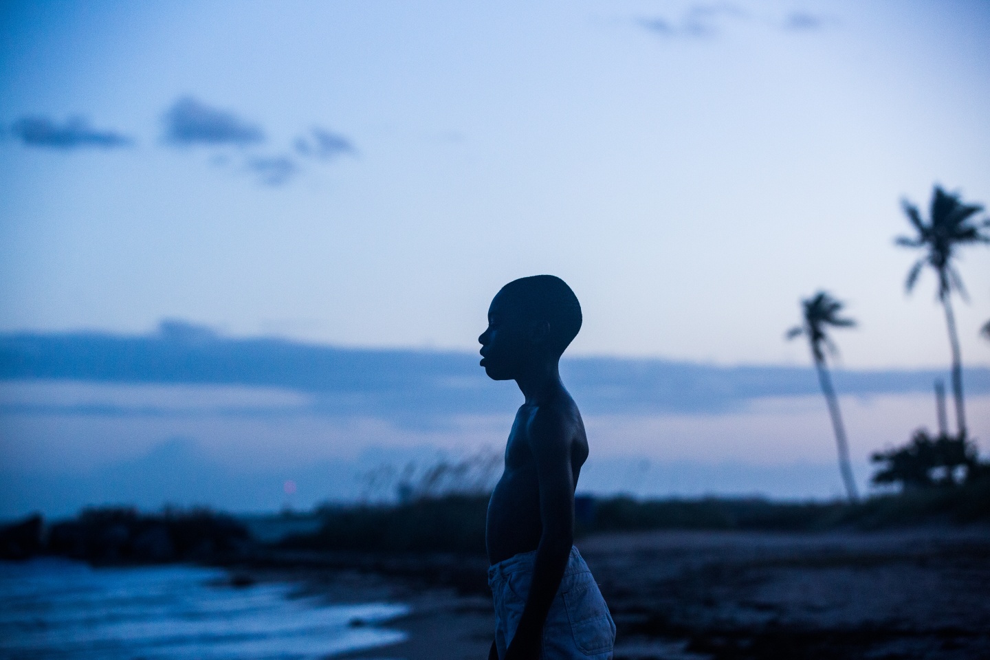 Why <i>Moonlight</i> Is A Small Miracle Of A Movie