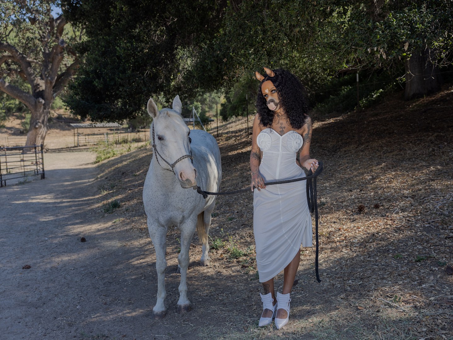 HorsegiirL unreined