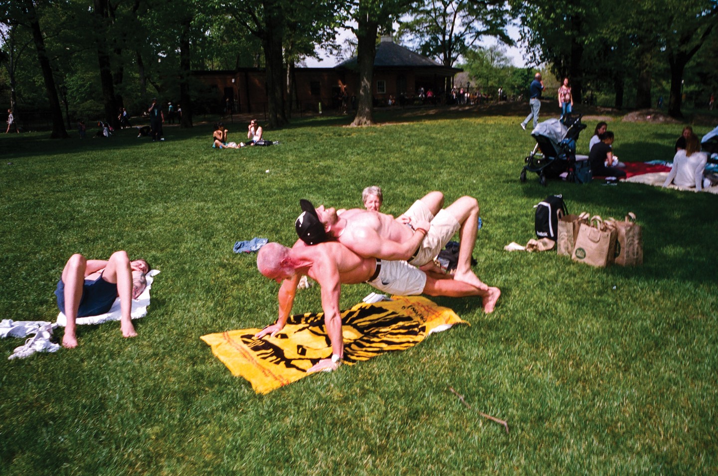 A Lurk At Summer In New York City’s Parks