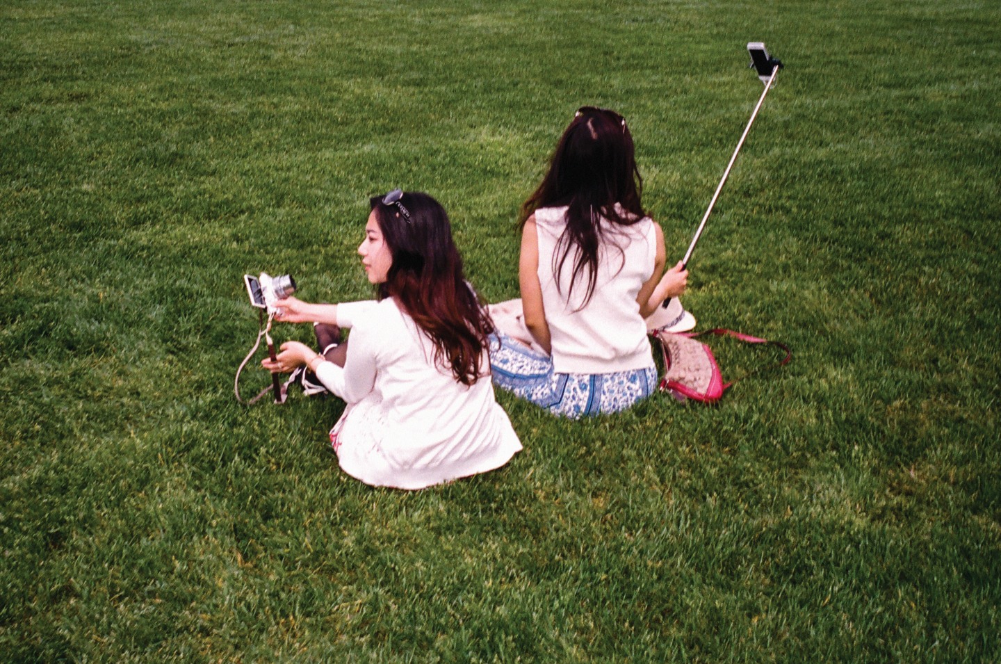 A Lurk At Summer In New York City’s Parks