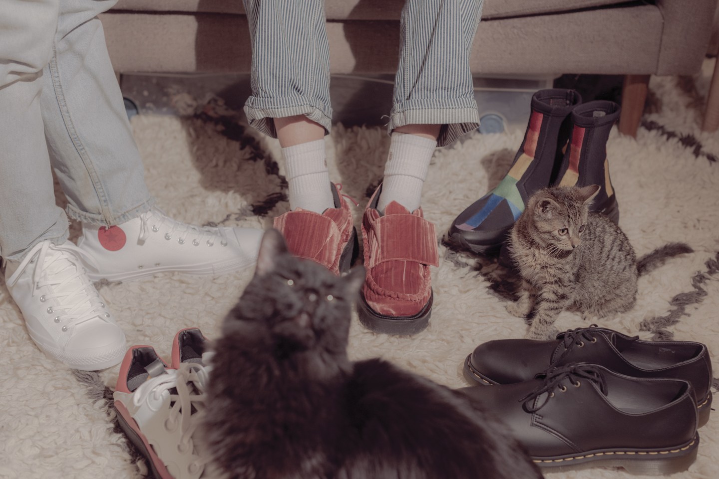 7 spring boots your pets want you to buy