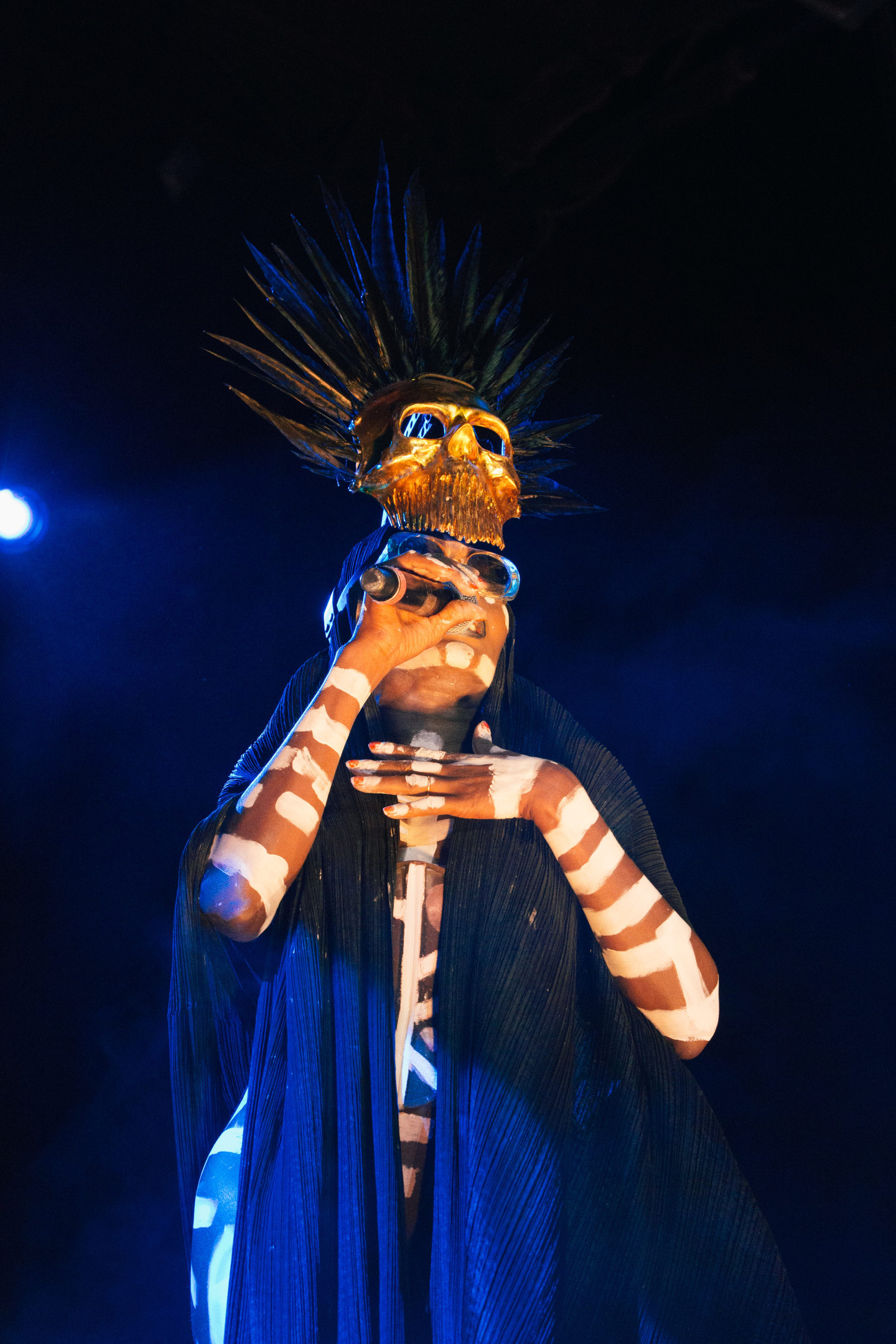 This Year’s Afropunk Performances Were Absolutely Gorgeous