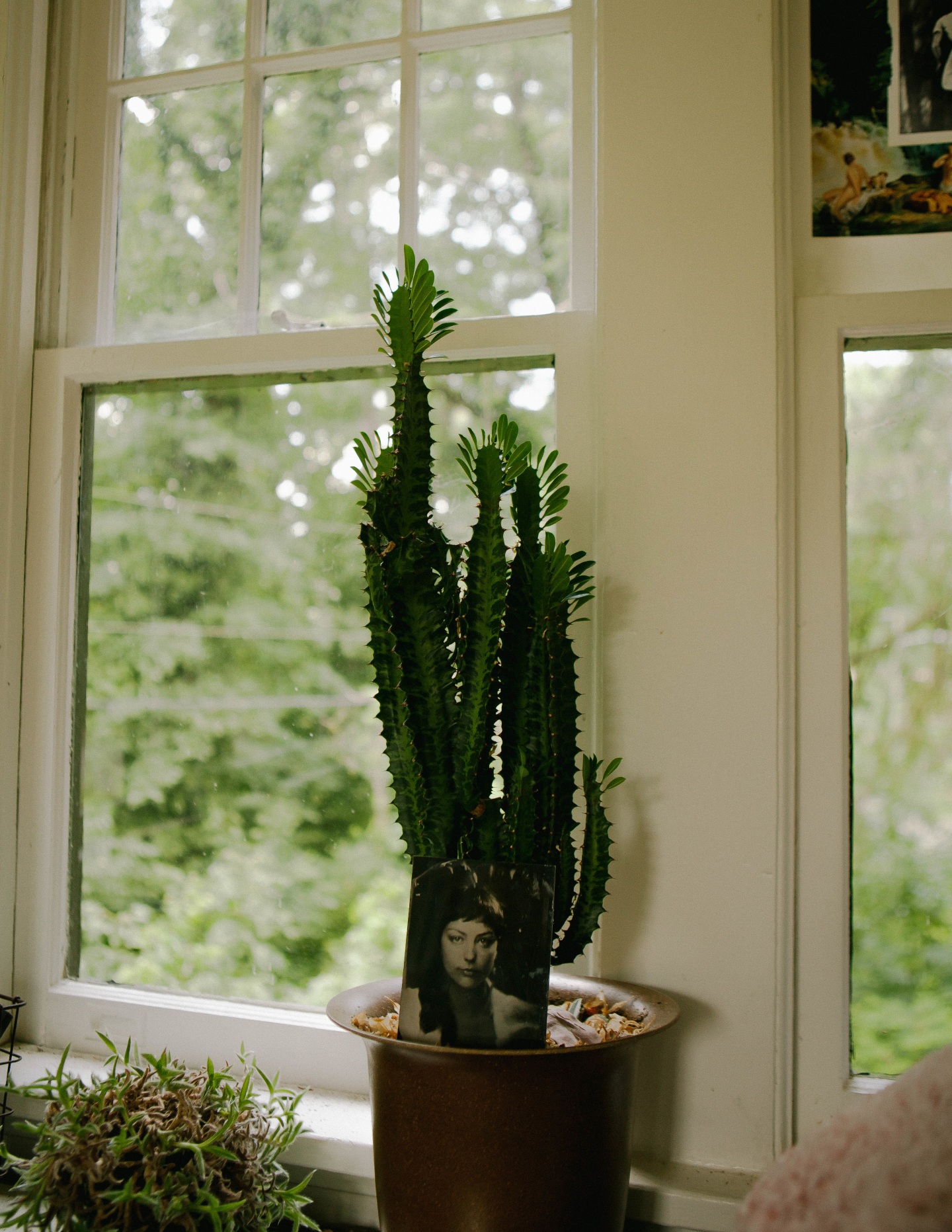 Angel Olsen is beginning to see the light