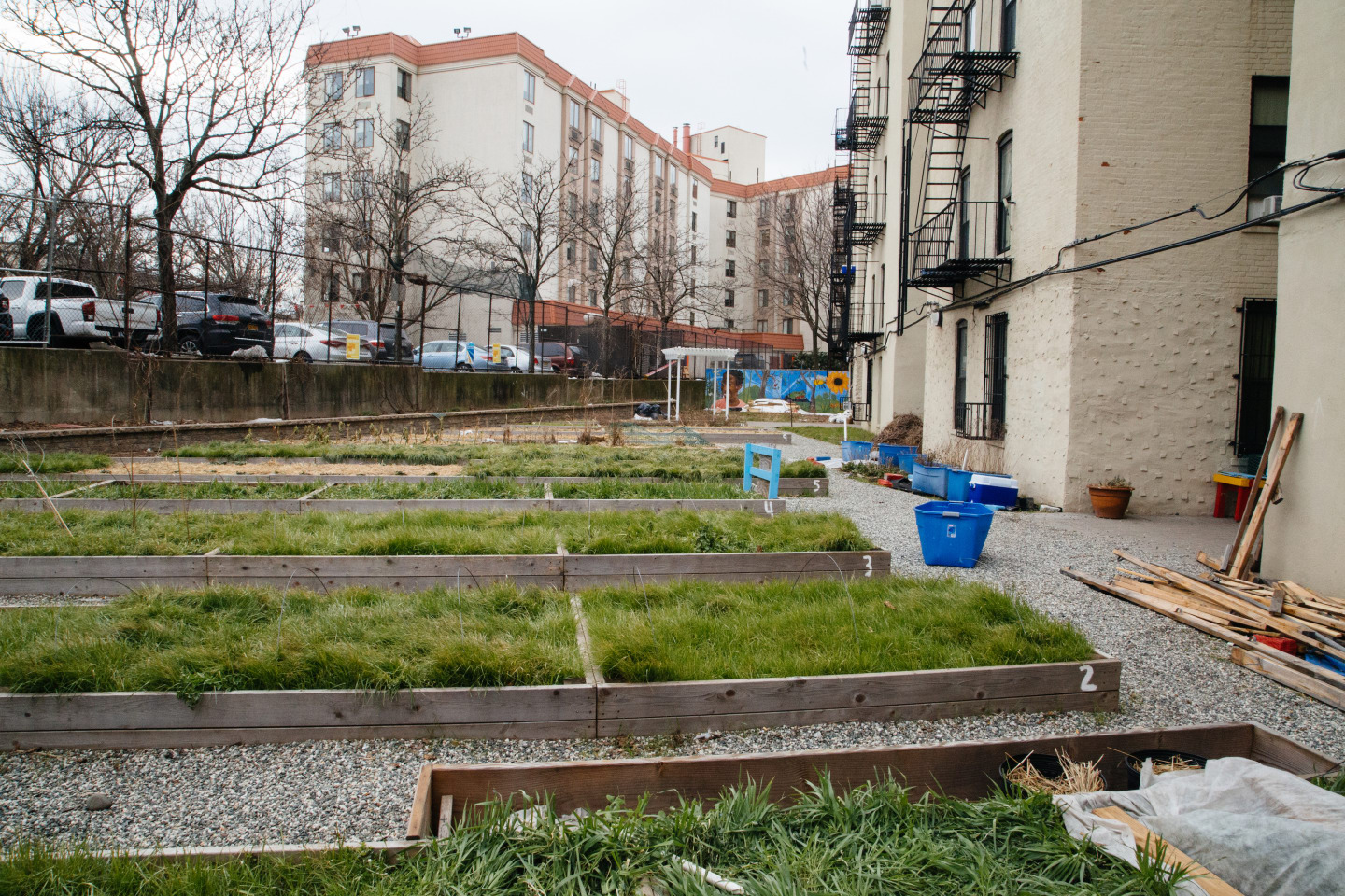 These New York Gardeners Are Fighting The System By Growing Food