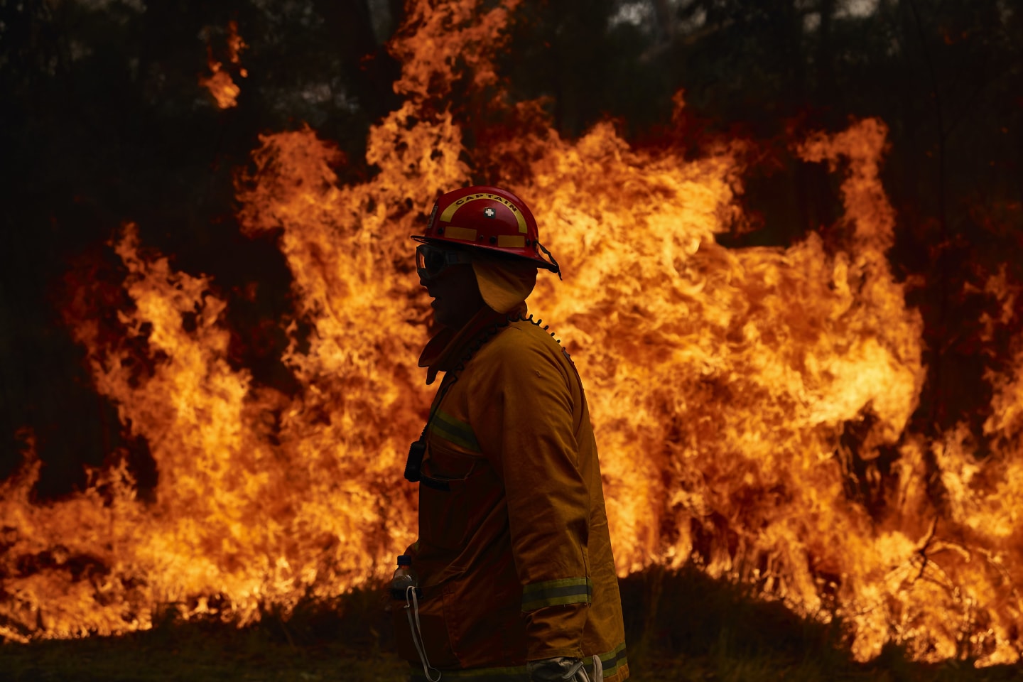 How you can help Australia during the bushfire crisis