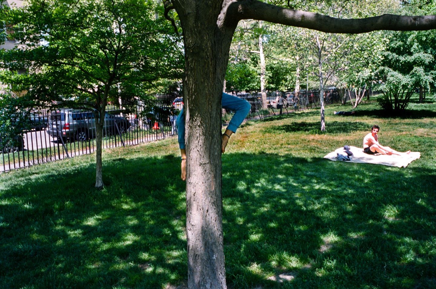 A Lurk At Summer In New York City’s Parks