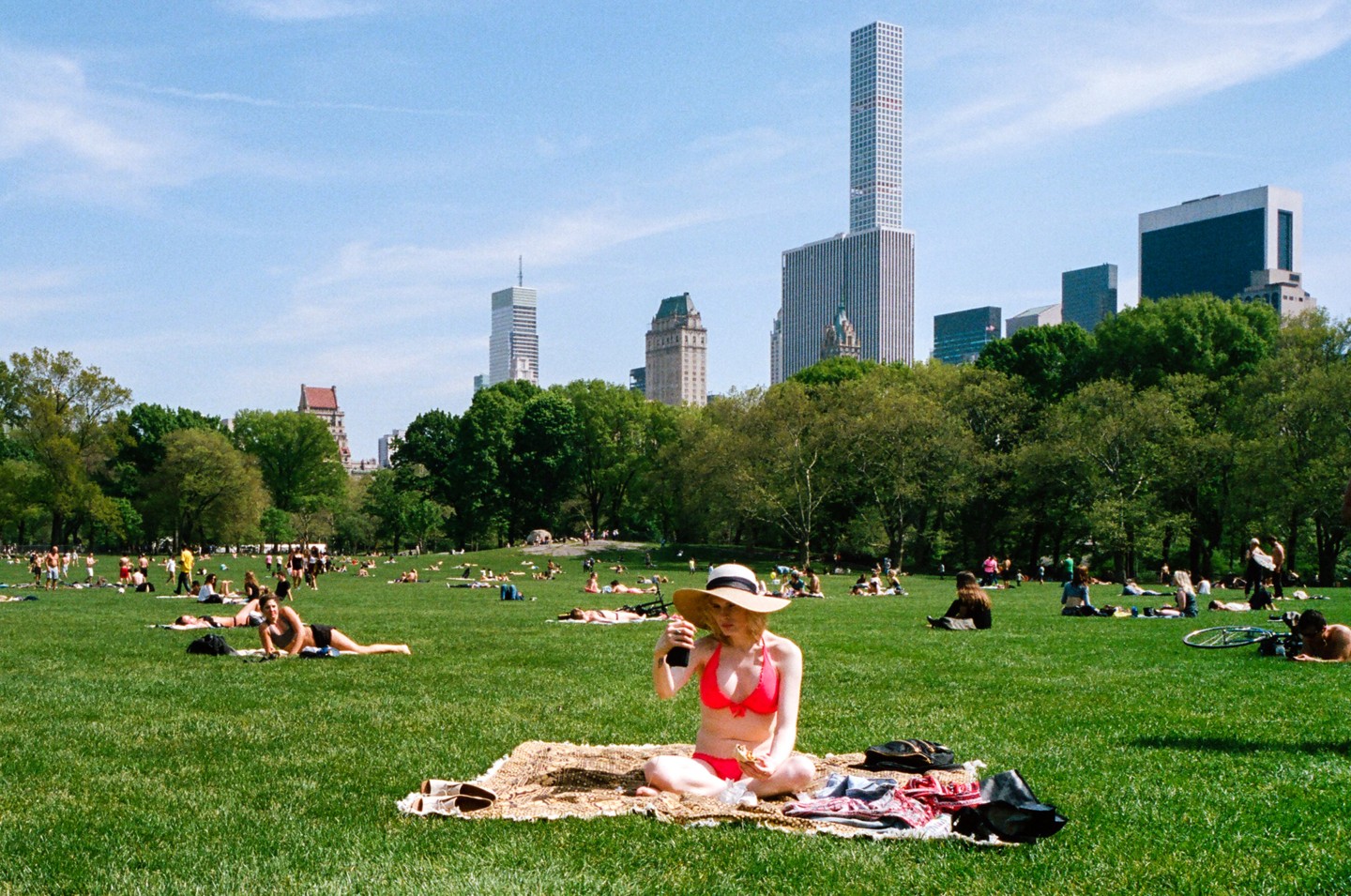 A Lurk At Summer In New York City’s Parks