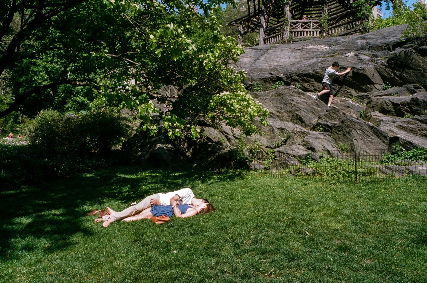 A Lurk At Summer In New York City’s Parks