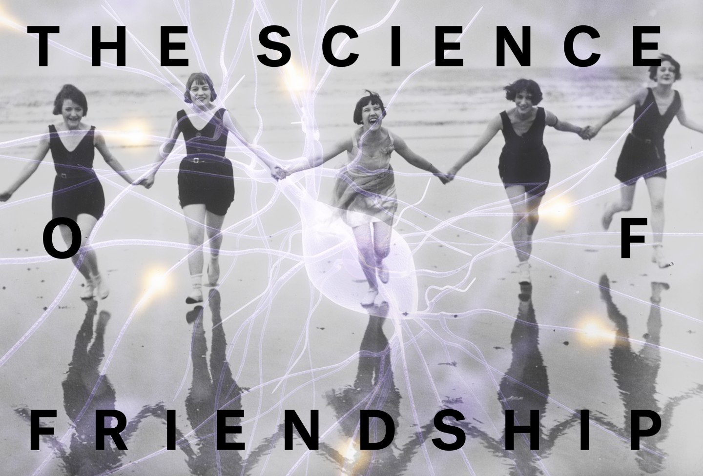 Why We Need Friends, According To A Scientist
