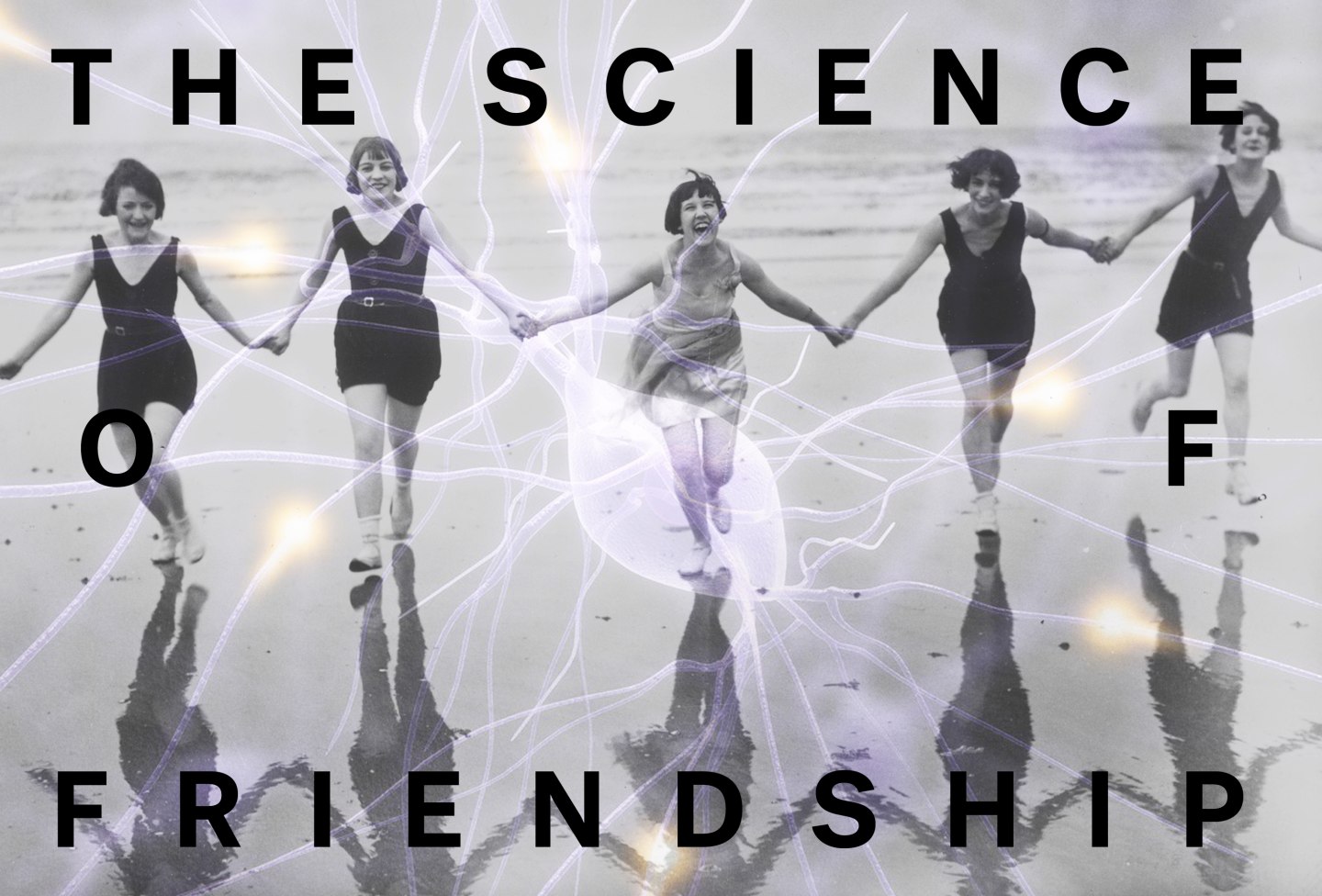 Why We Need Friends, According To A Scientist | The FADER