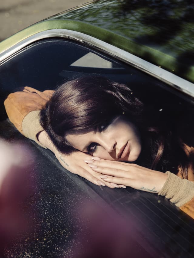 Lana Del Rey - Playing Dangerous by cashcartibih Sound Effect - Tuna