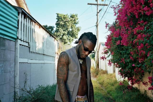 burna boy dangote album cover burna boy dangote album cover