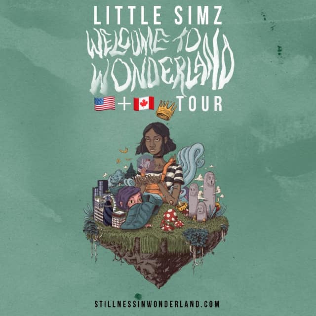 洋楽 Little Simz / Stillness in Wonderland LP Stillness In Wonderland | Little Simz