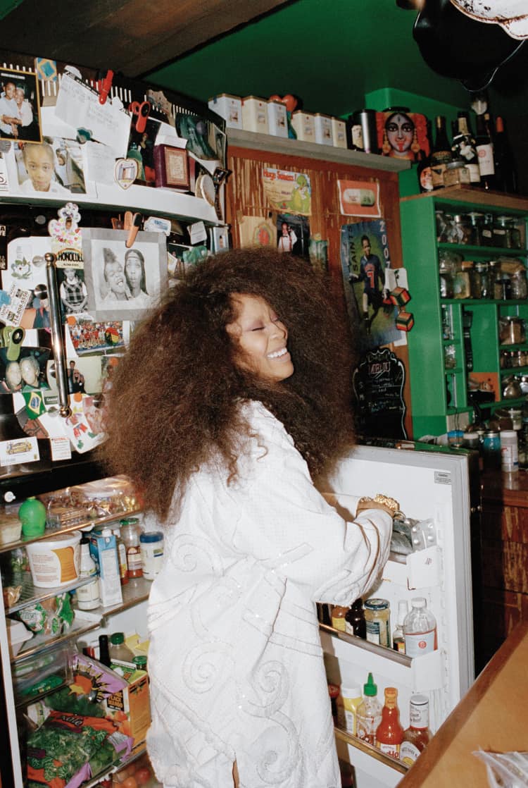 Only In Badu World The Fader