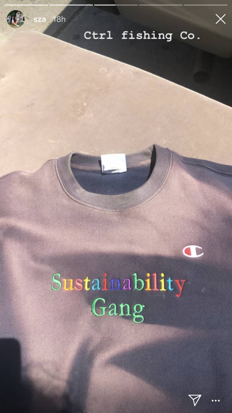 Sza sustainability hoodie outlet