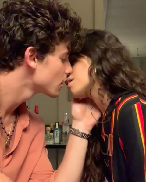 A frame-by-frame analysis of Shawn Mendes and Camila Cabello’s Instagram makeout sesh