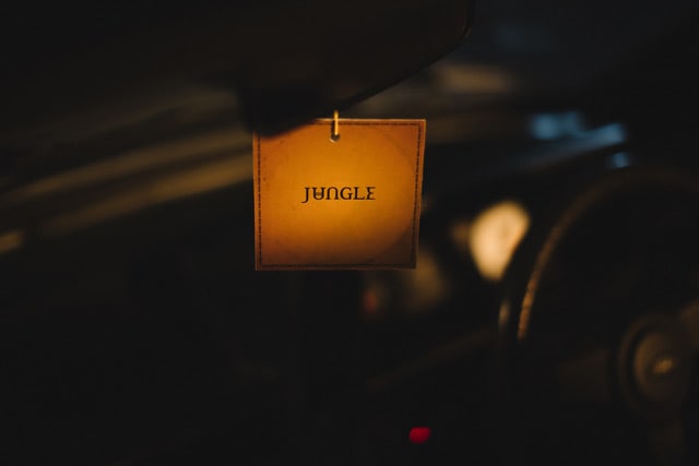Jungle announce new album <i>For Ever</i>