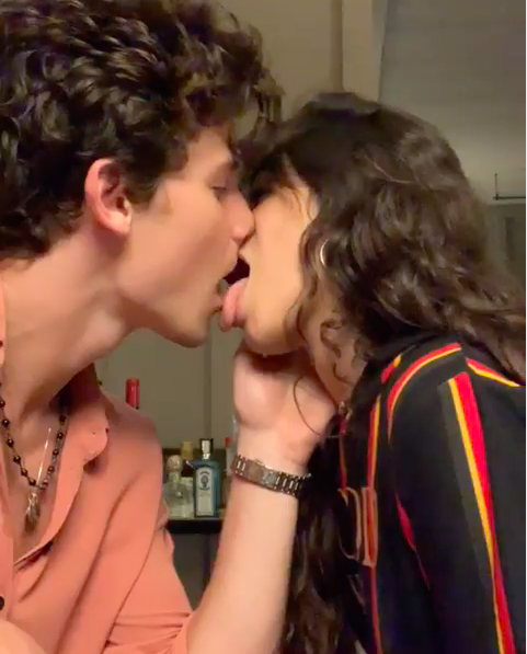 A frame-by-frame analysis of Shawn Mendes and Camila Cabello’s Instagram makeout sesh