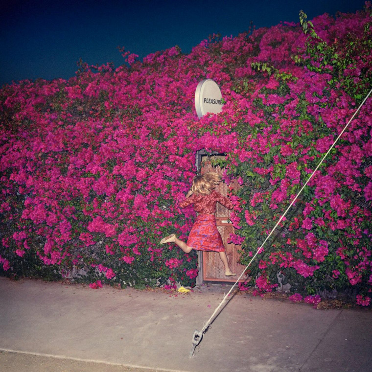 Listen To Feist’s New Single “Century”